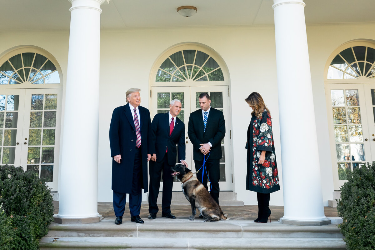 The White House from Washington, DC, Public domain, via Wikimedia Commons