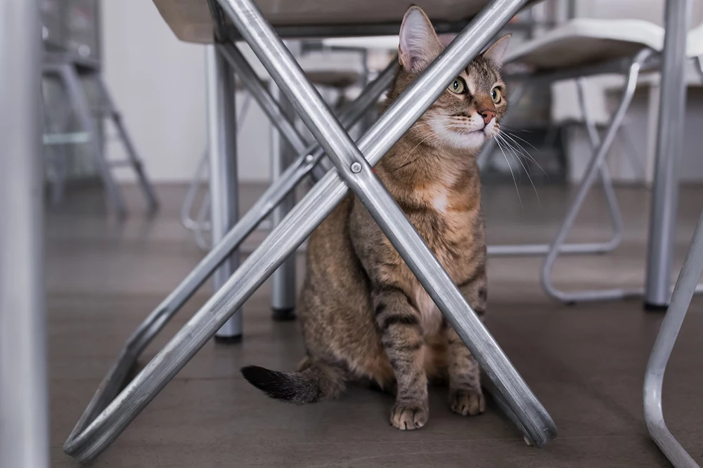 Фото: Алина М., www.the-village.ru