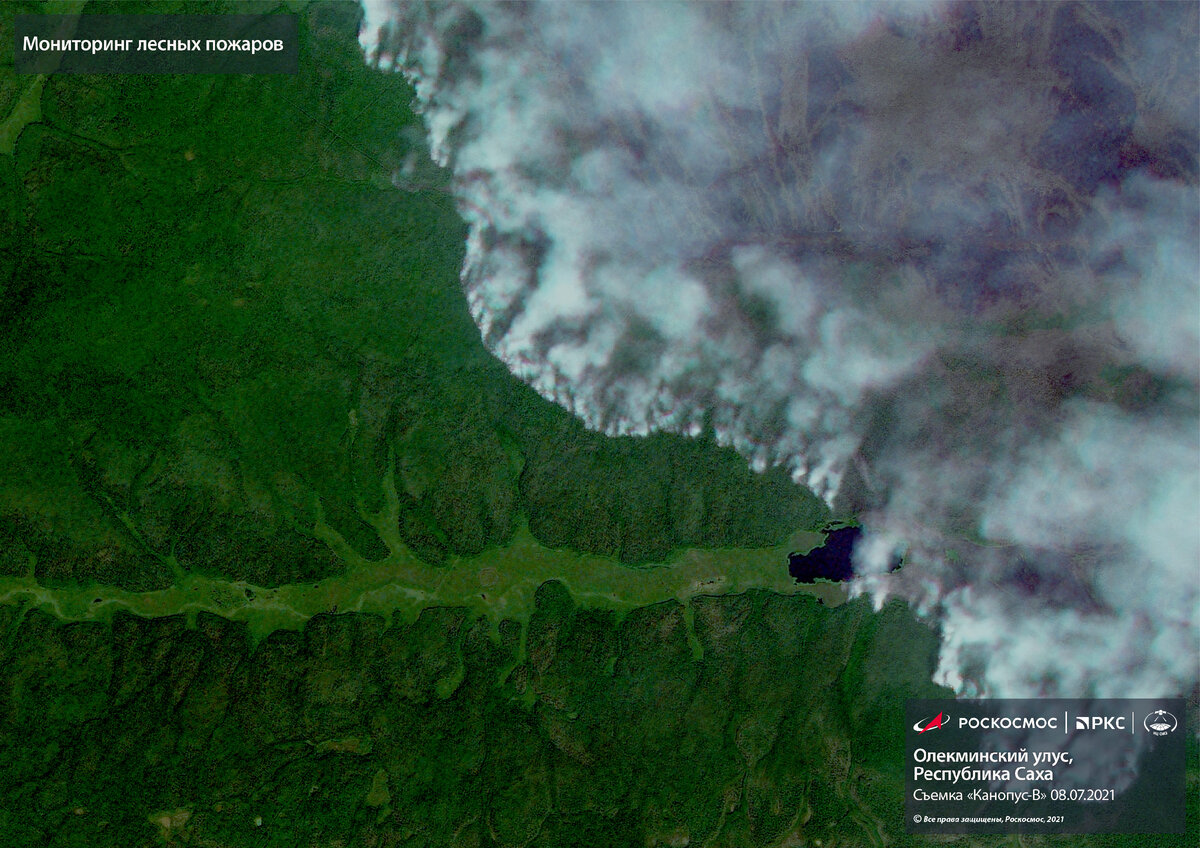 Космическая карта лесных пожаров fires ru