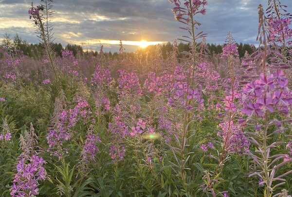 Посмотрите какая красота