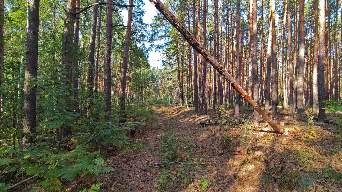 Листайте далее ->