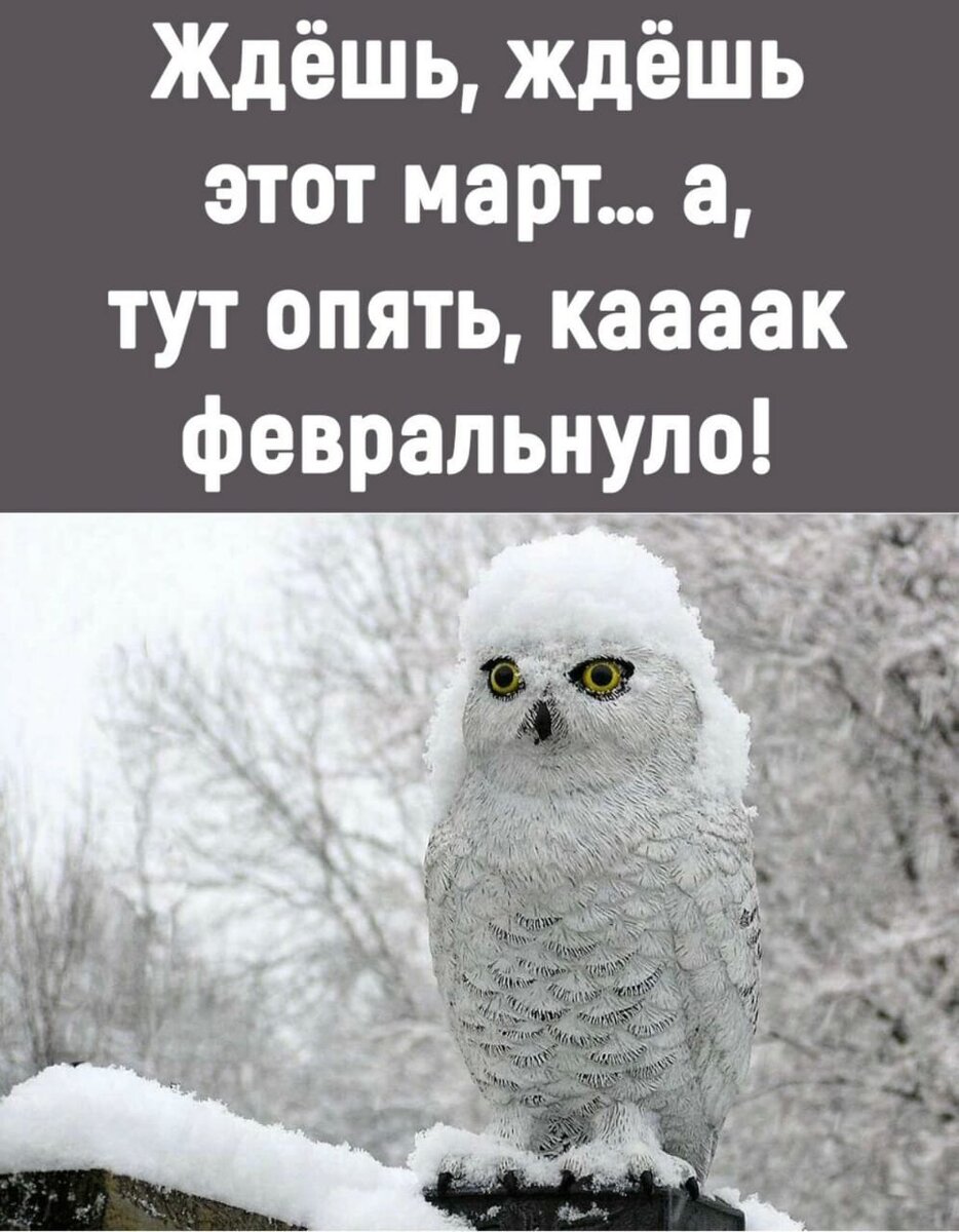 Миленькая жизнеутверждающая картиночка, подруги прислали