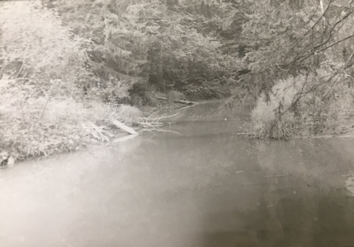 Верховья будущего водохранилища. Фото Патрушева ТВ, Турков 