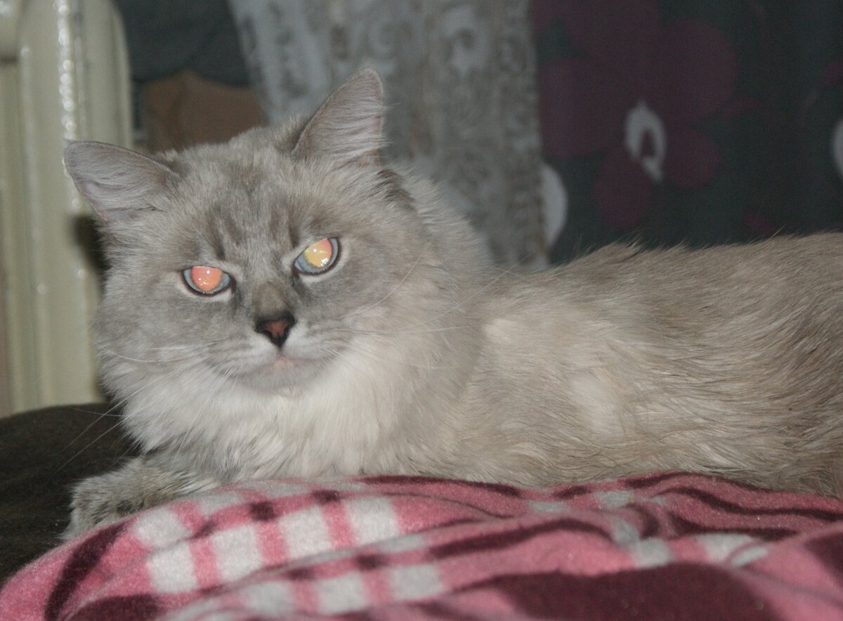 Только принесен