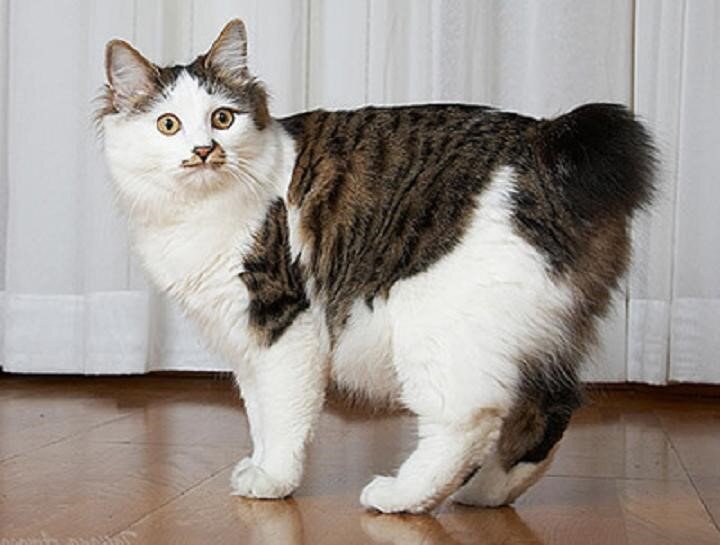 Фото из Интернета.