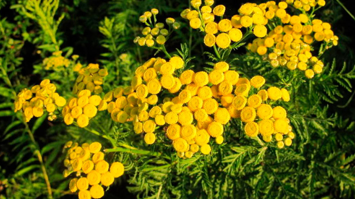 Источник картинки - profile.ru