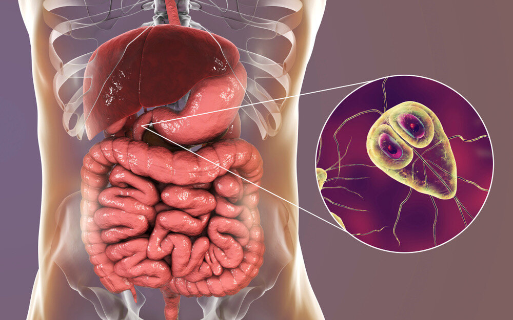 ЦМСЧ №28 г. Ангарск. Каких паразитов можно найти в мясной продукции и как избежать заражения.