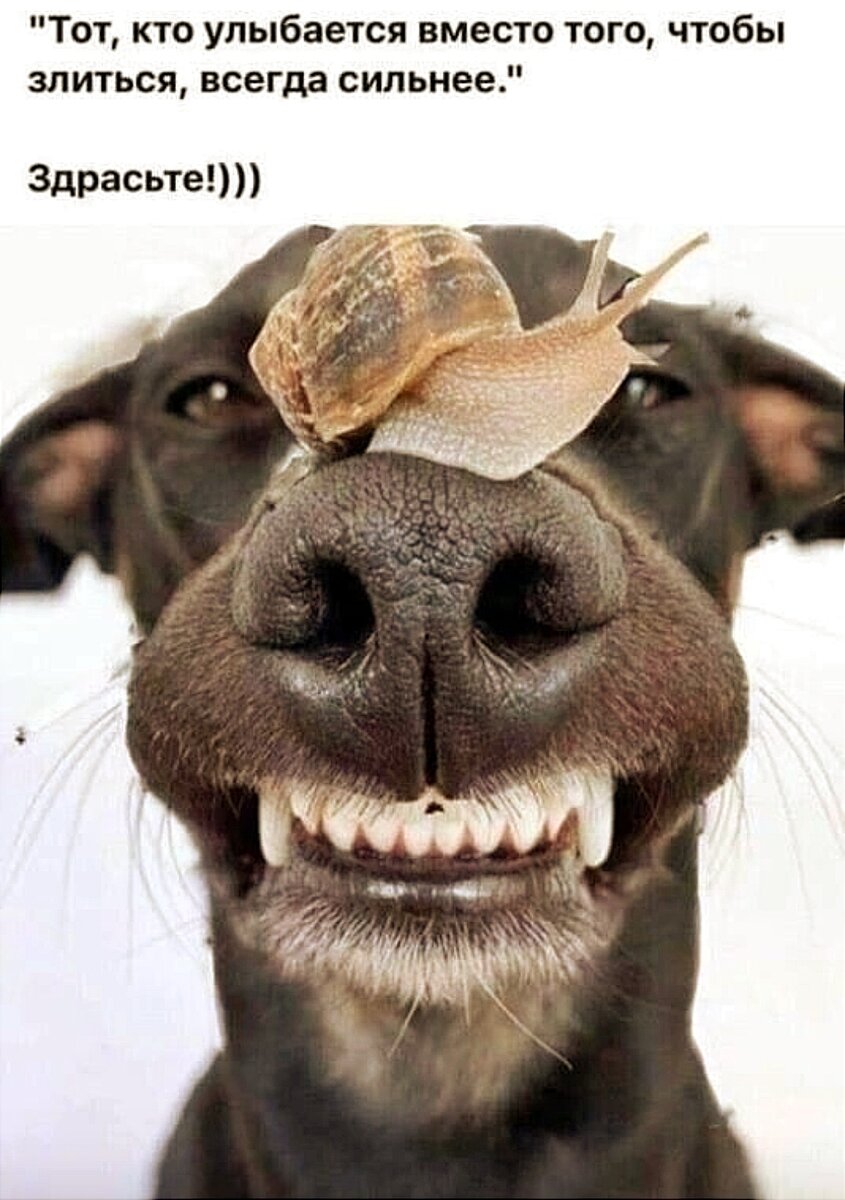 Картинка из интернета.