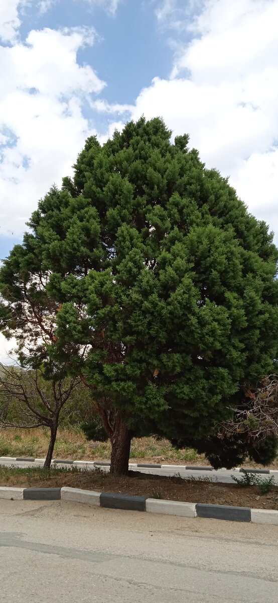 Солнечная долина. Фото автора