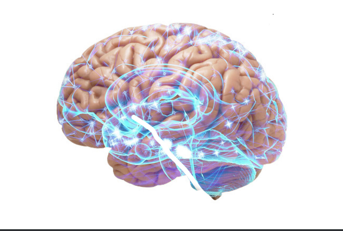 Мозговая активность. Датчики активности мозга. Декодеры мозговой активности это.