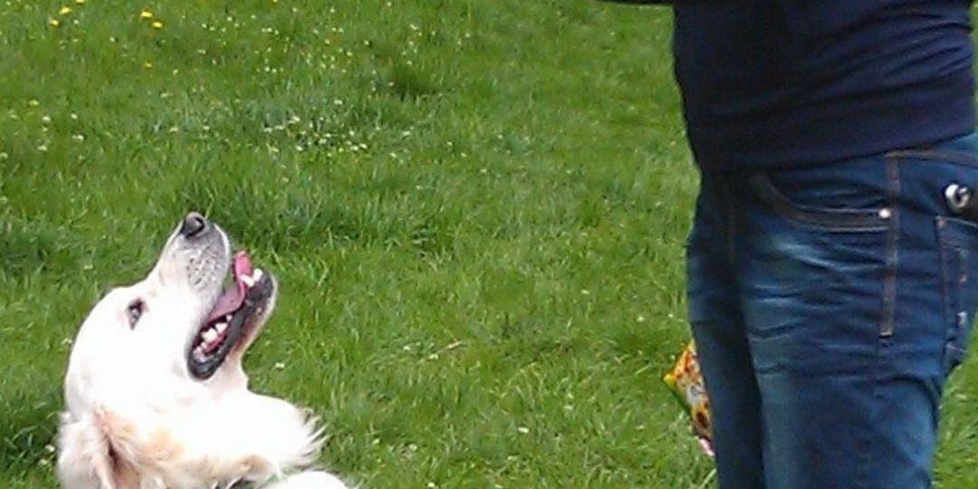 Вернуться в прошлое нельзя, а так хочется.