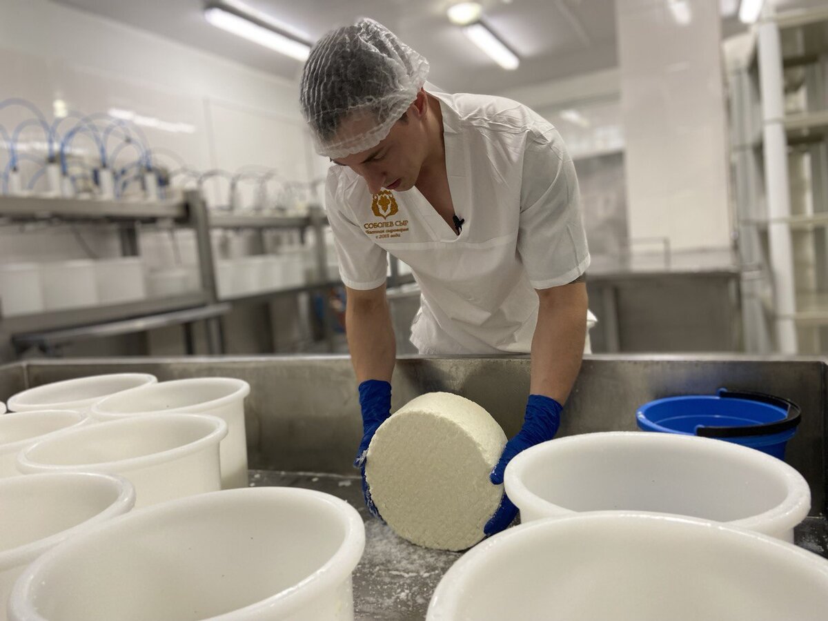 Сыровар Илья натирает корку Малахита сухой солью для образования корки.