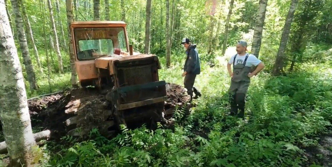 Более 10 тыс. кленов, ясеней и лип посадили в 