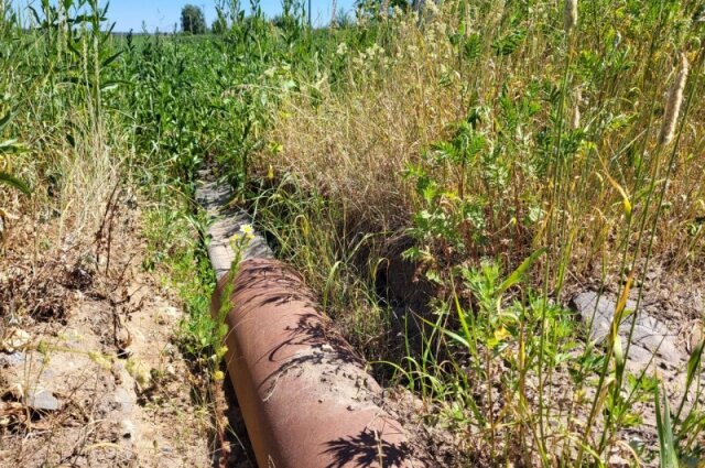    Фото: Общероссийский Народный Фронт