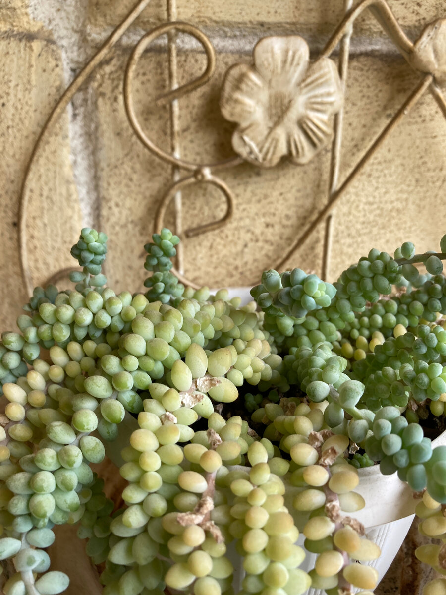 Фото принадлежит автору