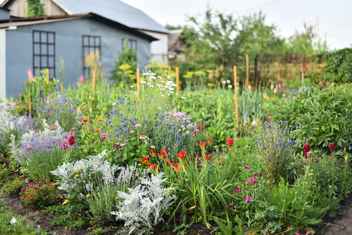 палисадник 2022