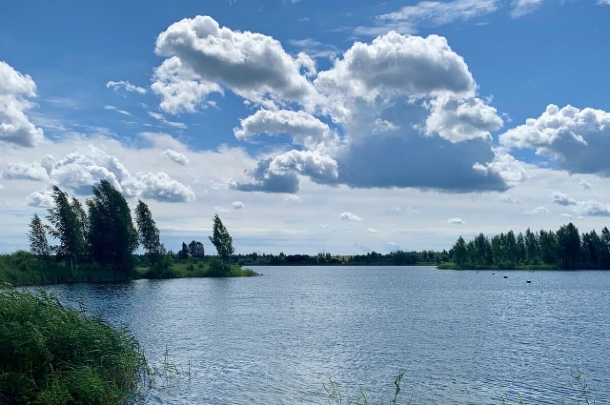    В Набережных Челнах "оздоровят" лес и озеро.