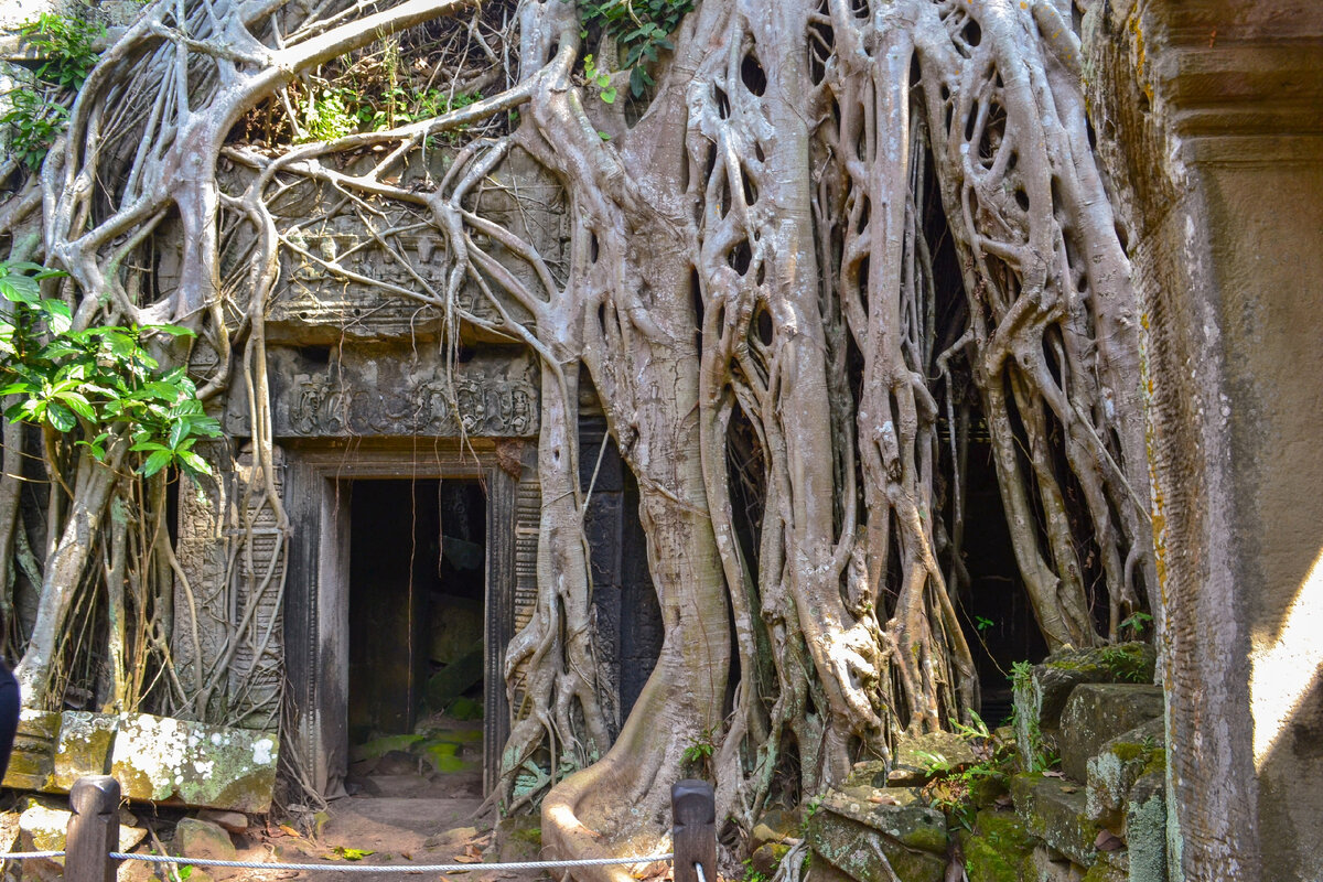 Та Пром. Фото автора
