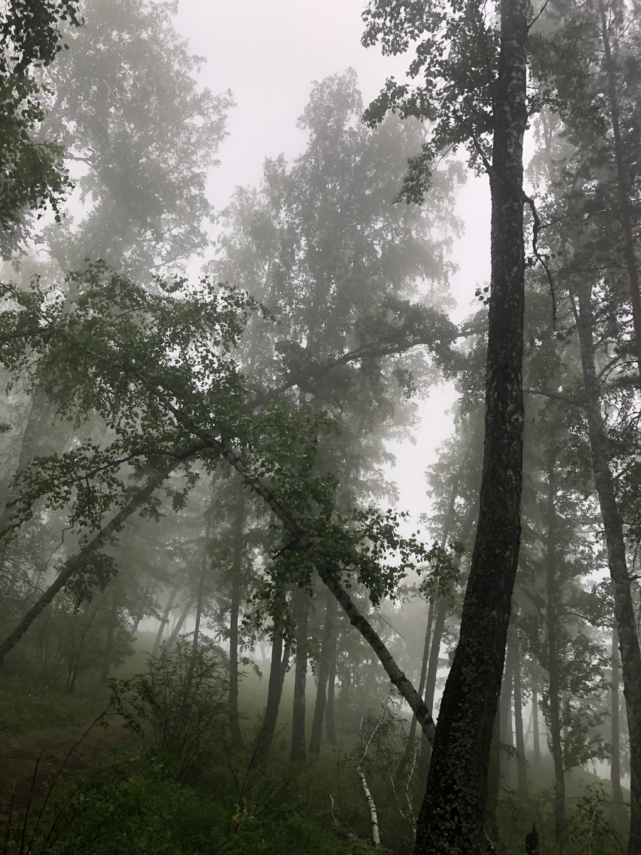 Мои первые фото