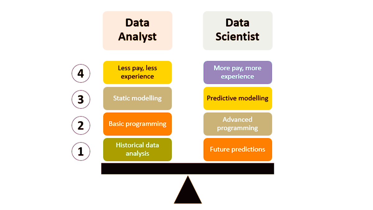 Data science data analysis. Data analyst data scientist data engineer. Data scientist. Data science data analysis. Data science data analysis.