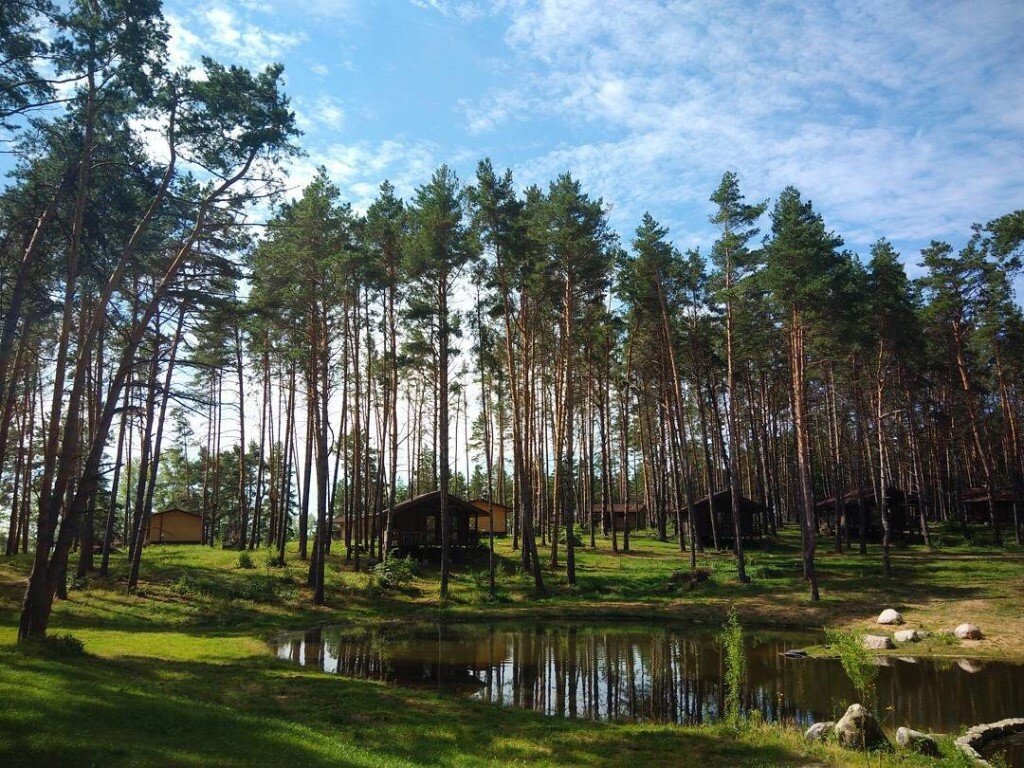 Природа Ульяновской области. Взято из интернета.