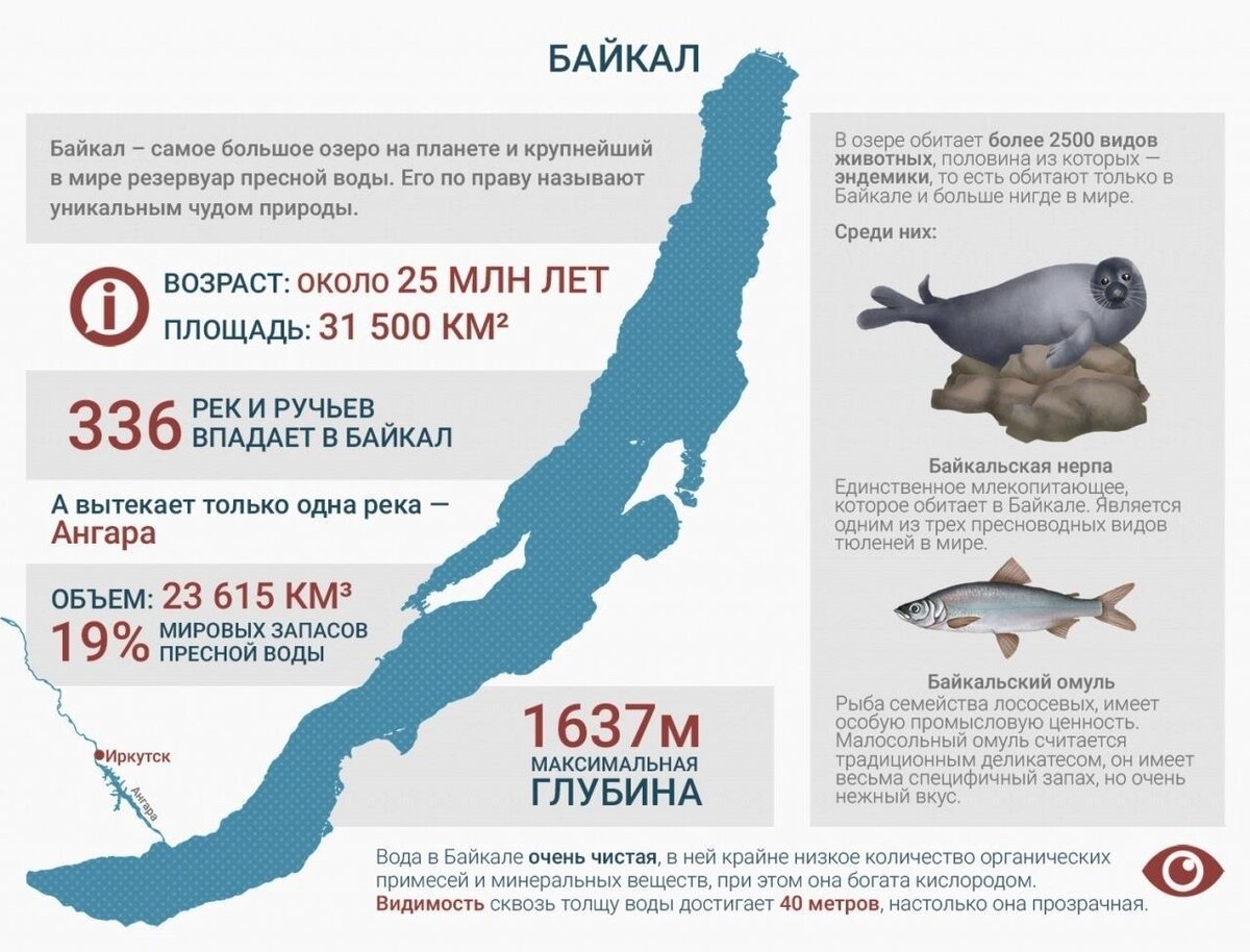 Озеро Байкал инфографика