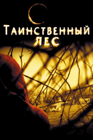 Постер: kinopoisk.ru