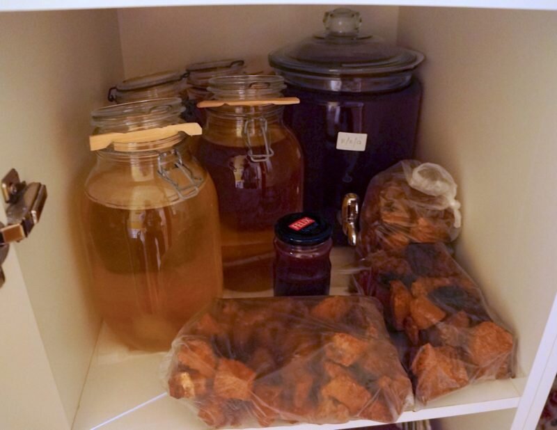 Хранение чайного гриба. Иллюстрация для статьи используется с сайта pro-dachnikov.com