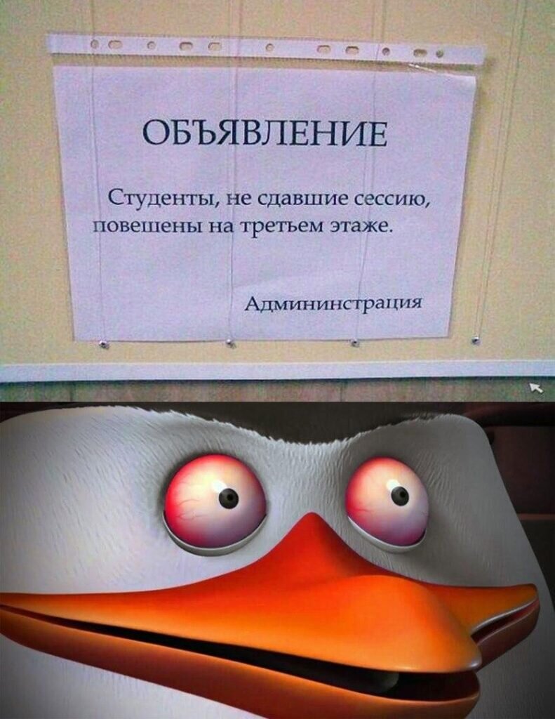 Если не сдал сессию 1 курс. Приколы про студентов. Анекдоты про студентов. Смешные шутки про студентов. Шутка юмора.