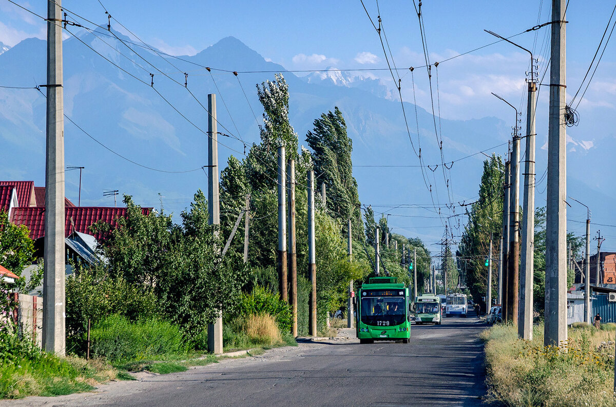 ВМЗ-5298.01 «Авангард» на фоне киргизского хребта Ала-Тоо. Автор фото: Андрей Харьковой. Источник — transphoto.org