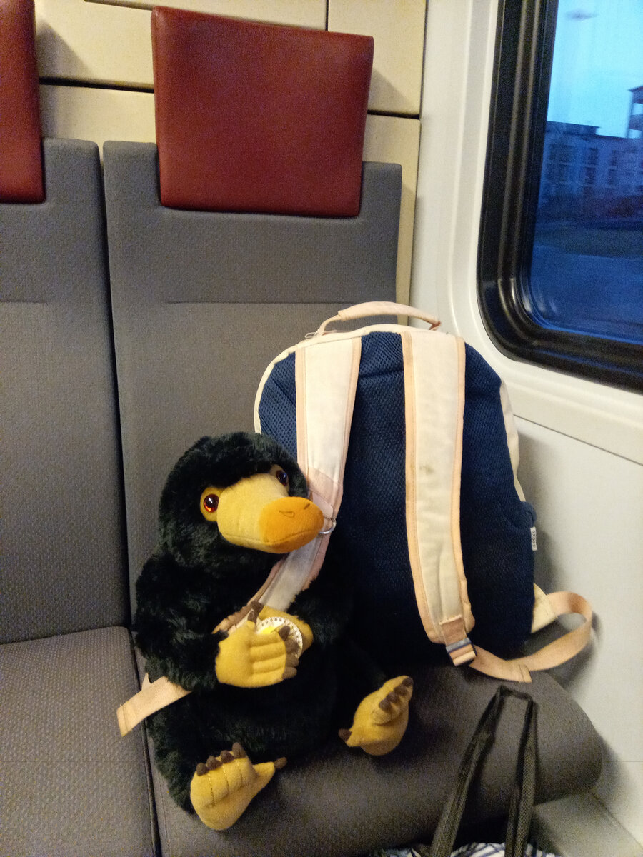 Нюхль едет из аэропорта Хельсинки в сторону центра. Всё, что под фото - рассказ читателя от первого лица.