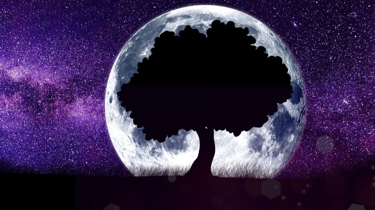 Что говорили астрологи, и что сбылось из предсказаний? Фото: www.piqsels.com