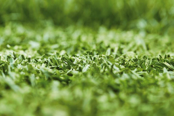Почему дачники так любят мульчирующие газонокосилки? | STIHL | Дзен