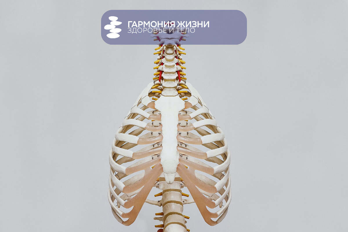 Photo by Nino Liverani on Unsplash