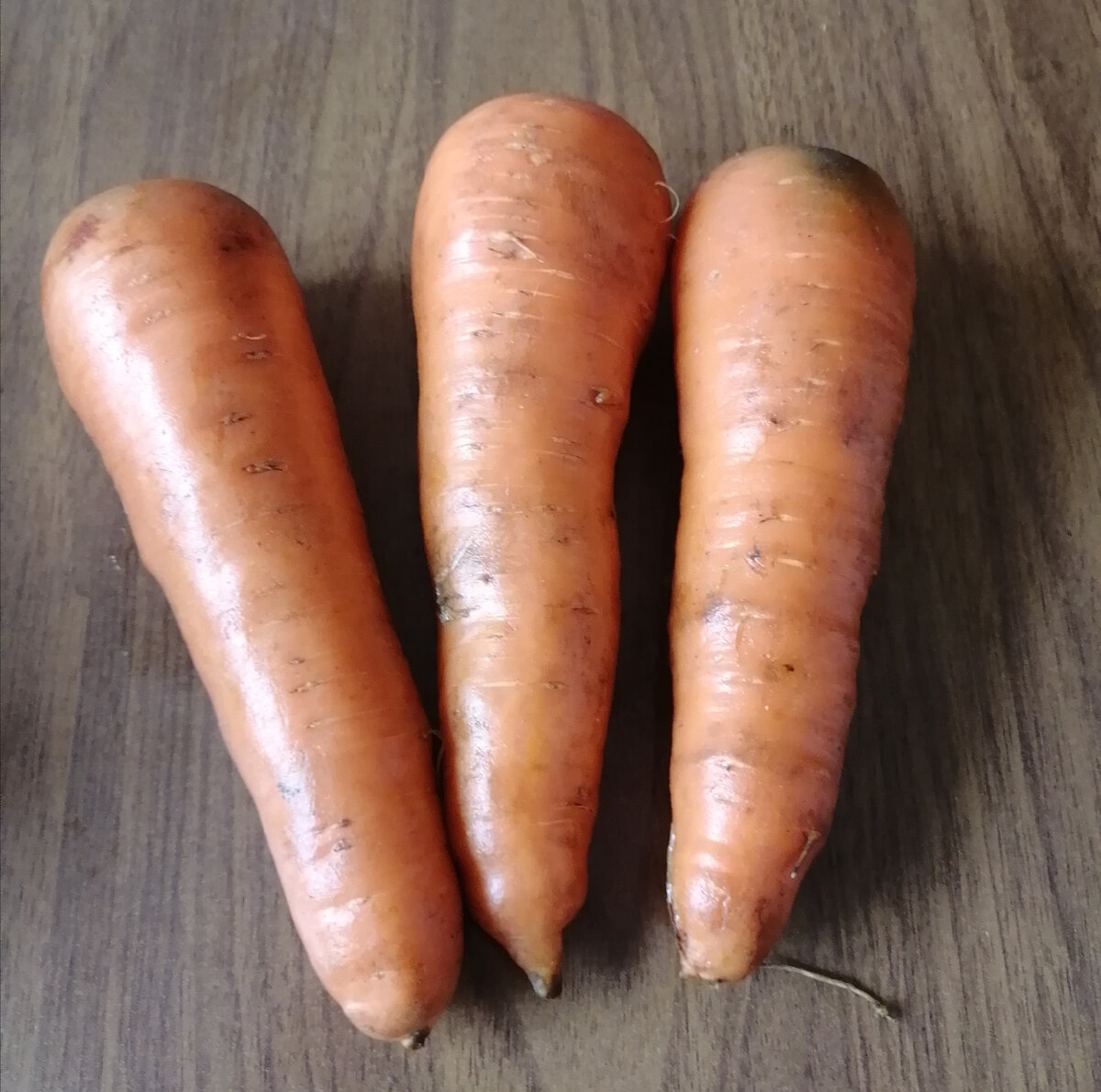 Морковь сорт "Детская". 