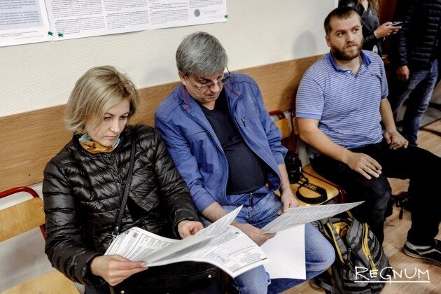    Выборы Дарья Антонова © ИА REGNUM