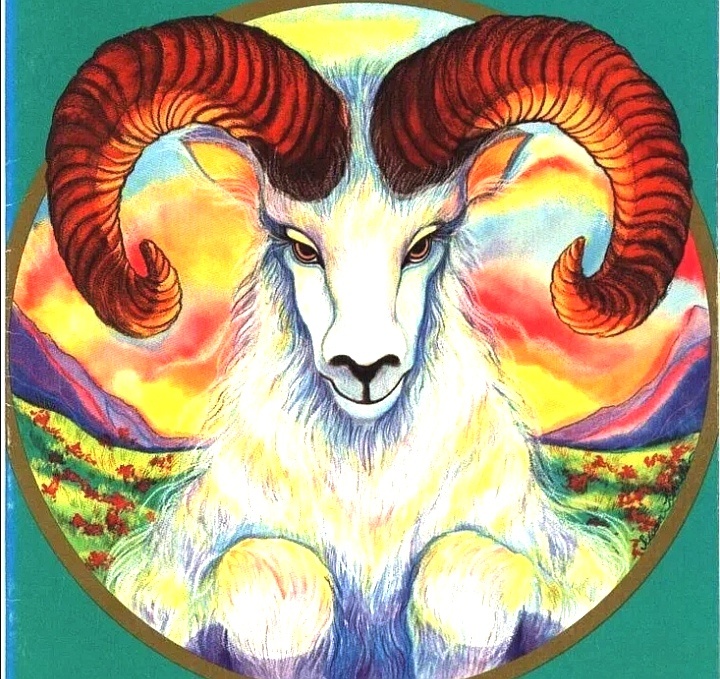 Овны осенью... 