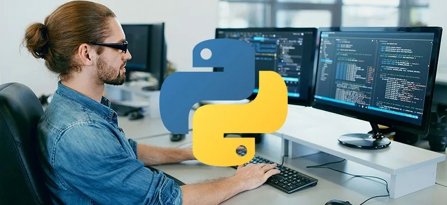 Продвинутые курсы python. Python Разработчик. Программист Python. Программист Пайтон. Программист по питону.