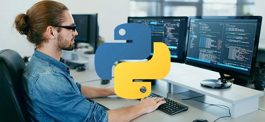 Using python. Программист Пайтон. Программист питон. Python Разработчик. Разработка на Python.