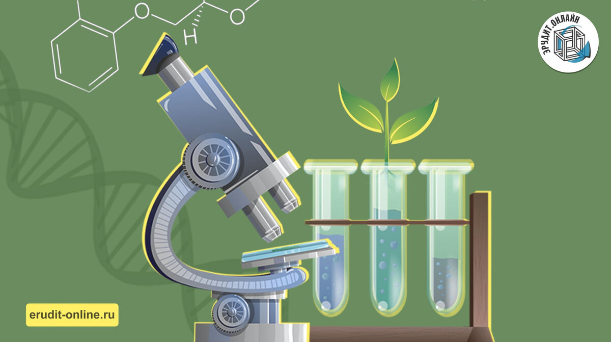 Неделя биологии на Эрудит.Онлайн | Эрудит.Онлайн | Дзен