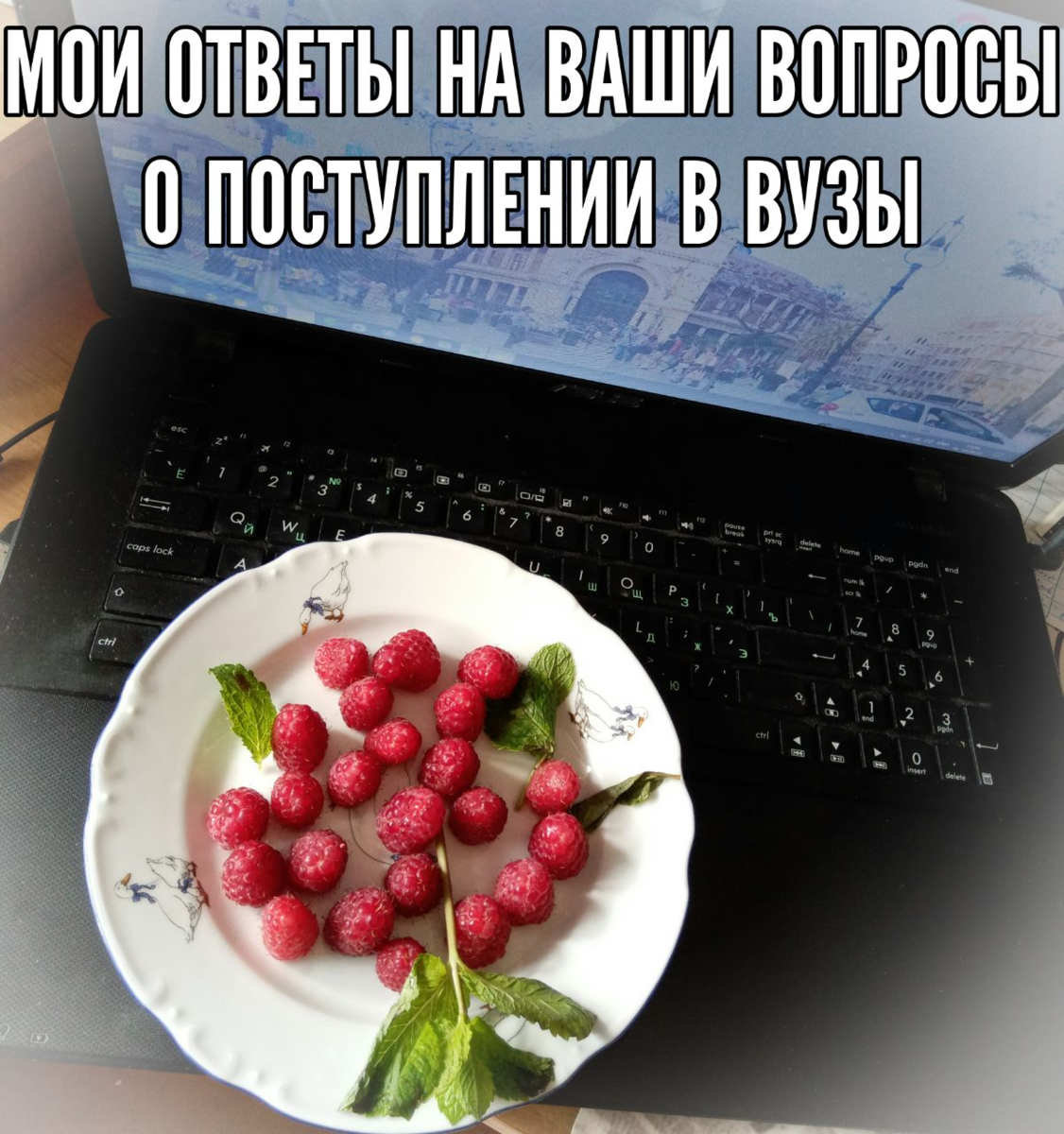 В вуз после колледжа, поступление по целевому, сроки публикации правил  приёма. Разбираю ваши вопросы | Провинциал препод-путешественник | Дзен