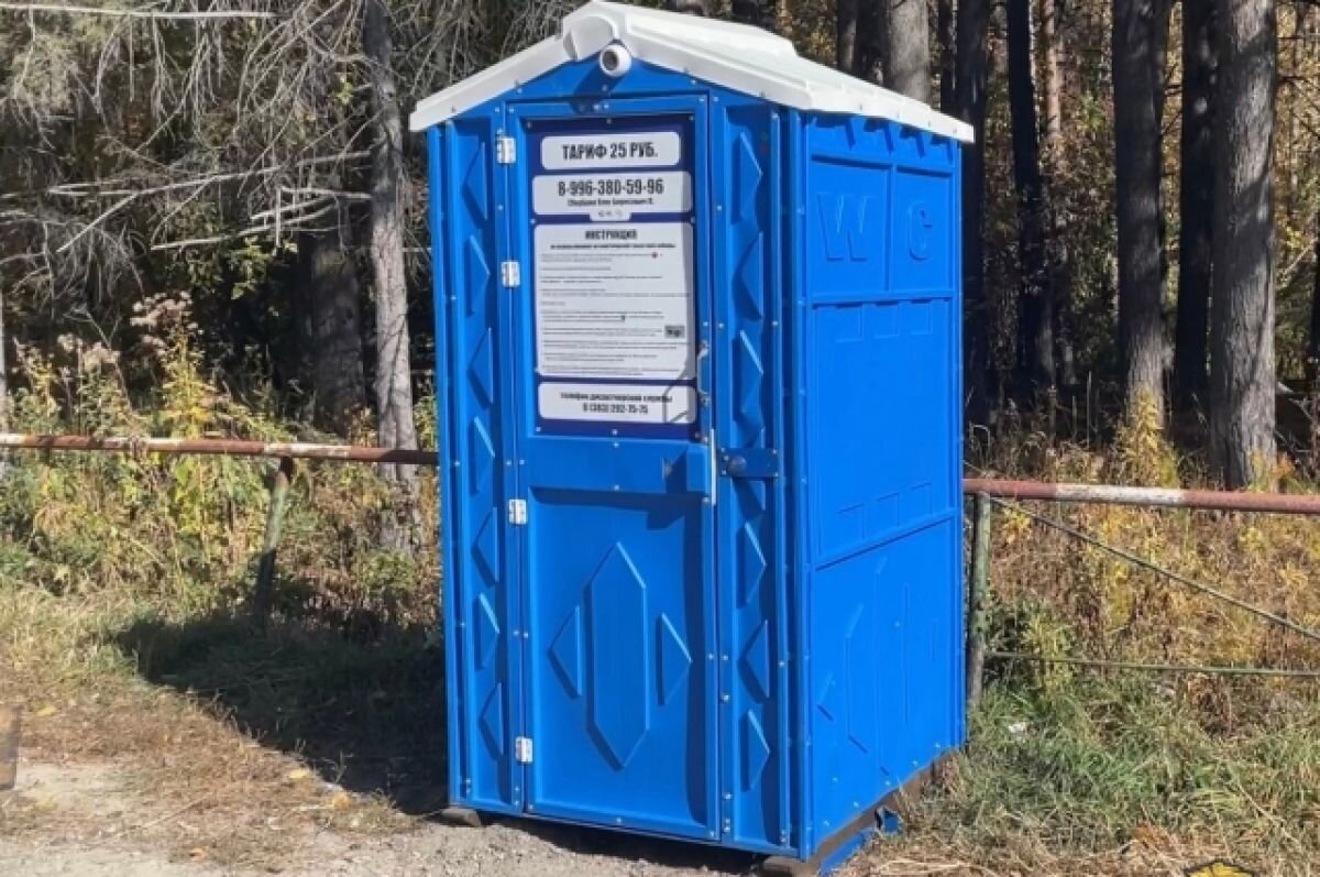    Необычный платный туалет поставили в новосибирском Академгородке