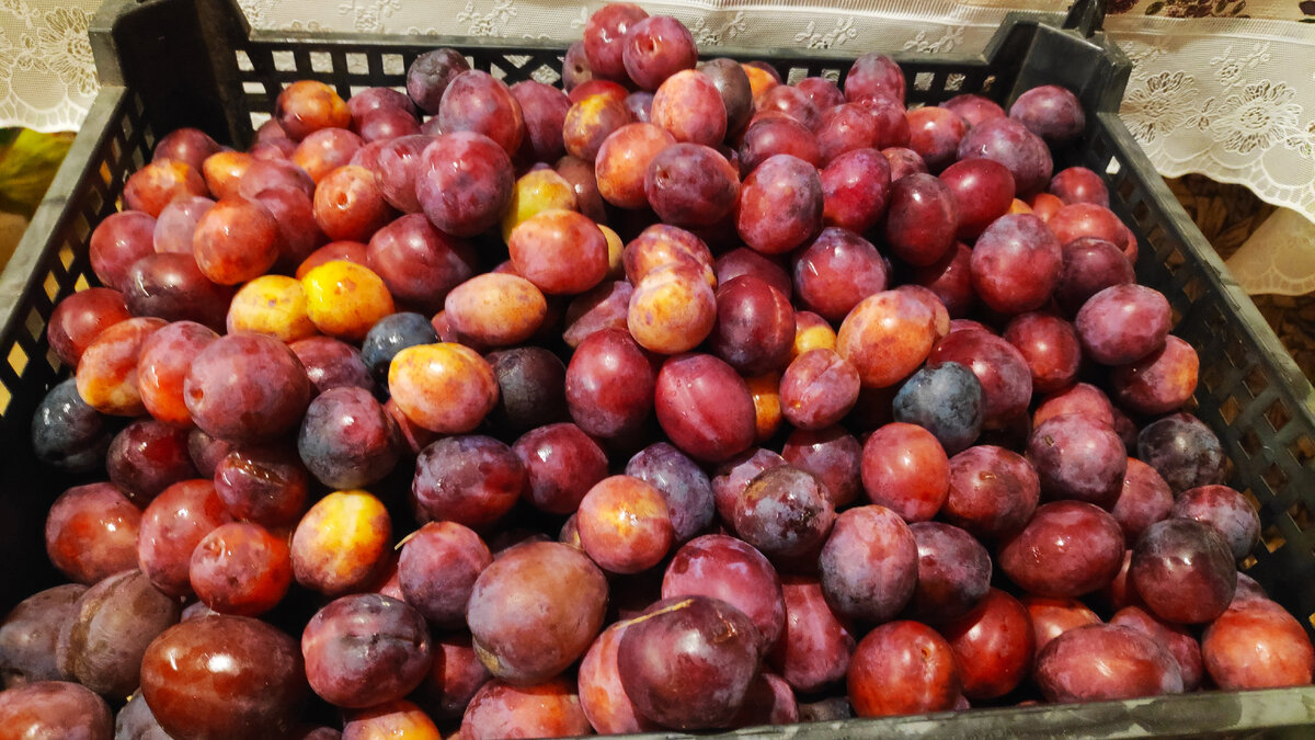 Ну да уйма и есть. Шесть таких коробок получилось