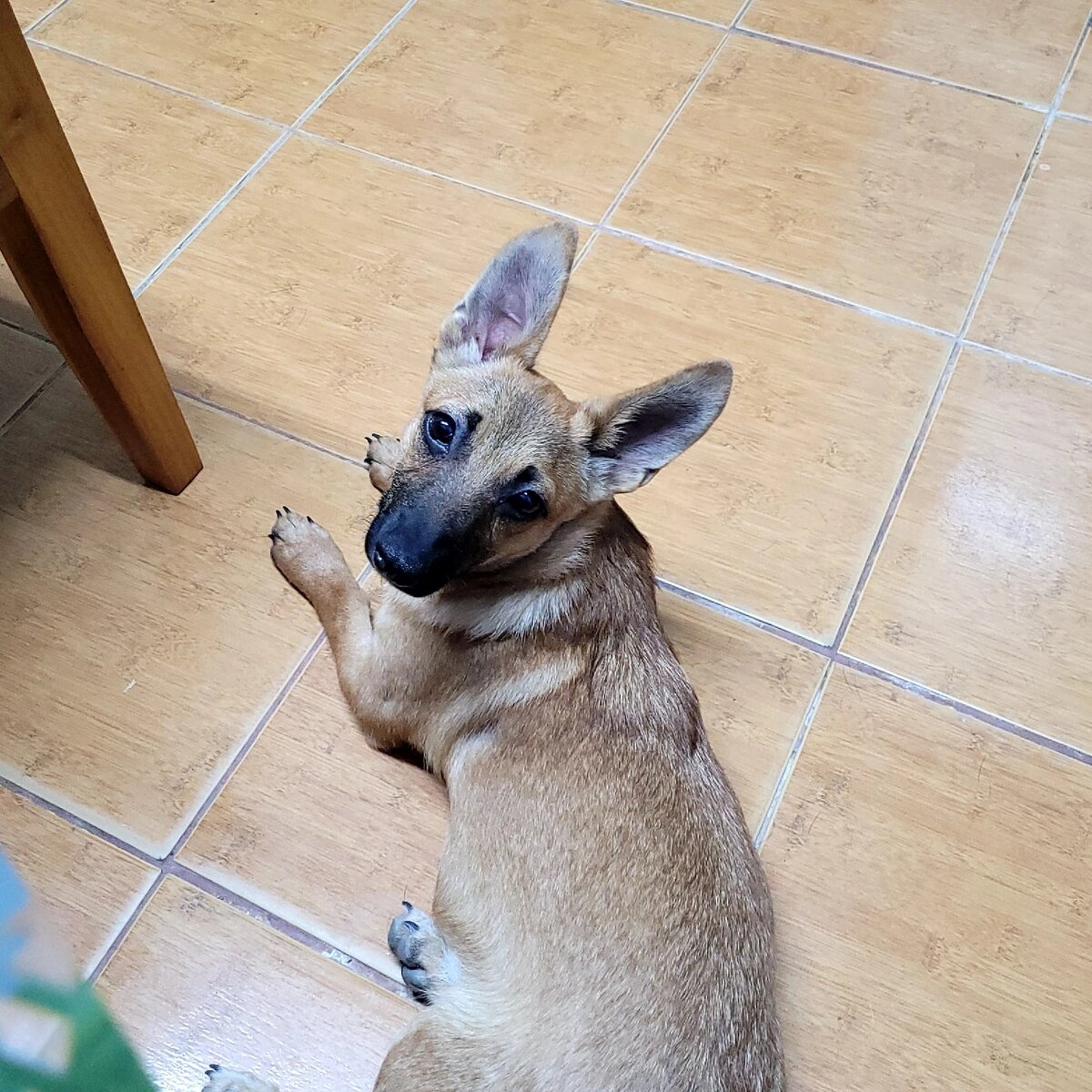 Дома пацан.