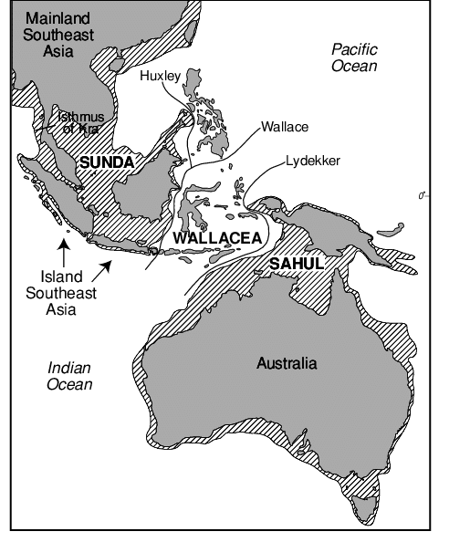 С сайта https://www.researchgate.net/figure/Map-of-Australasia-showing-extent-of-the-Sunda-and-Sahul-continental-landmasses-with_fig1_227000047