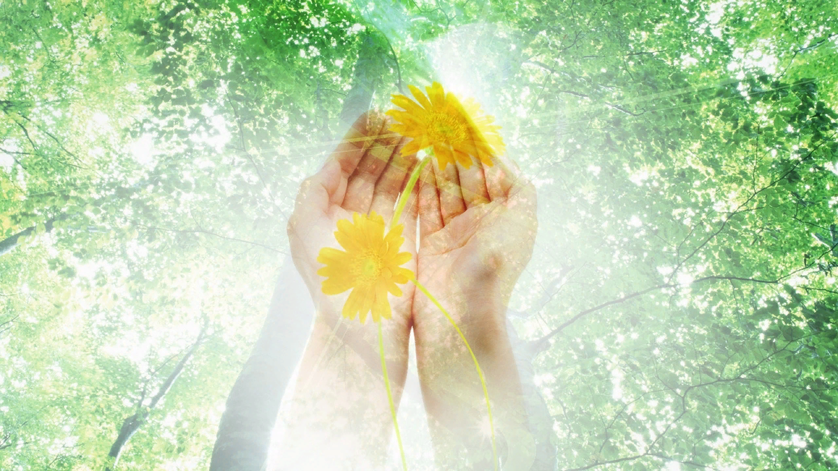 В портале очищения. Яндекс. картинки