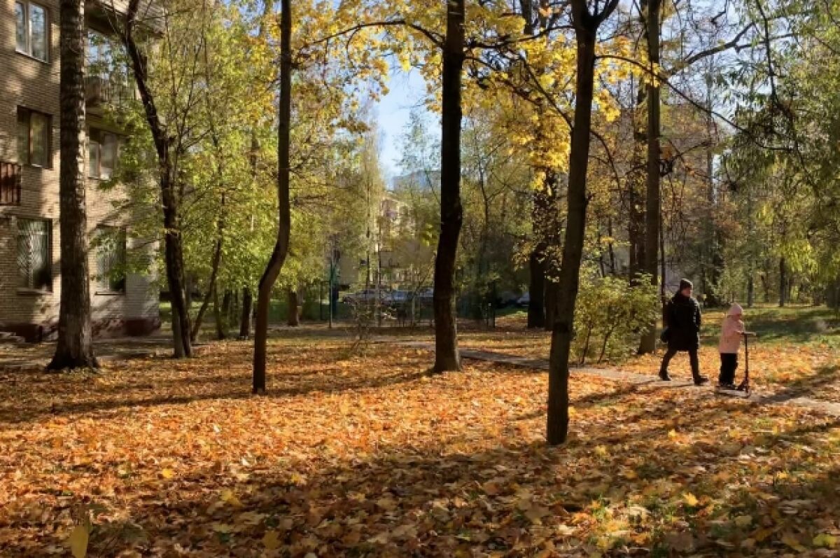   Алтайские синоптики зафиксировали изменение климата