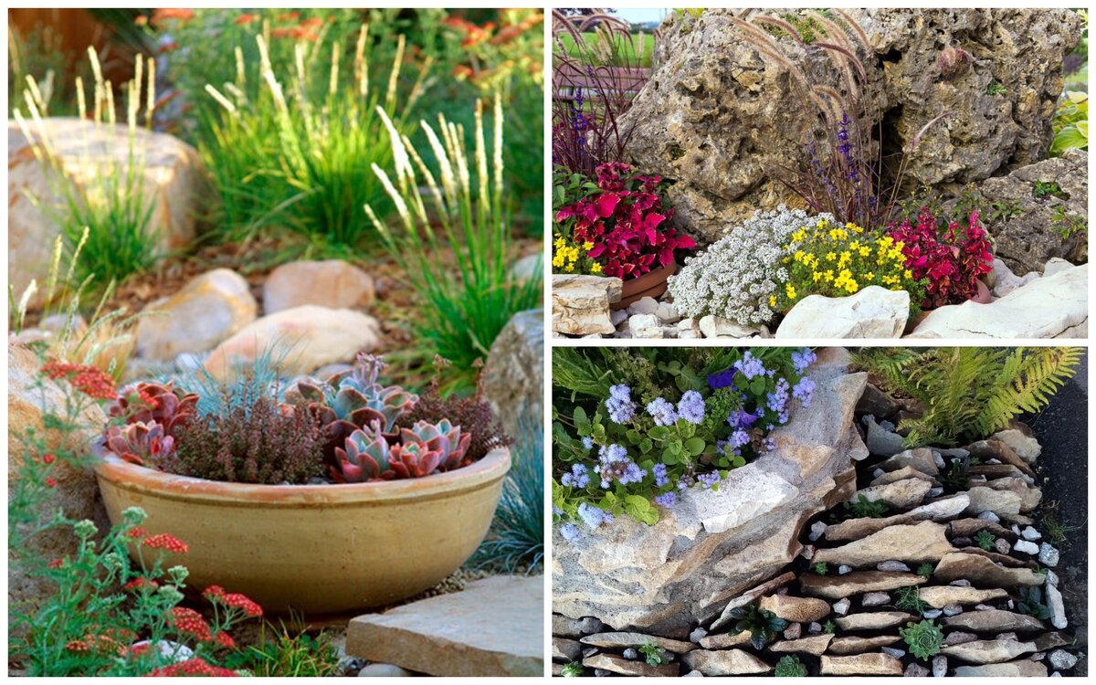 Сад камней в интерьере — особенности создания и выбор растений