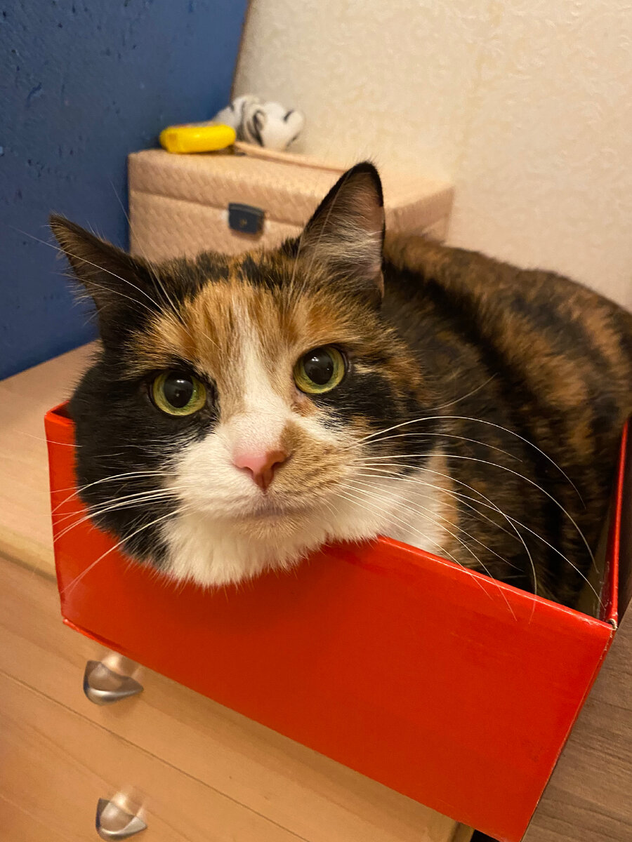 Личное фото 