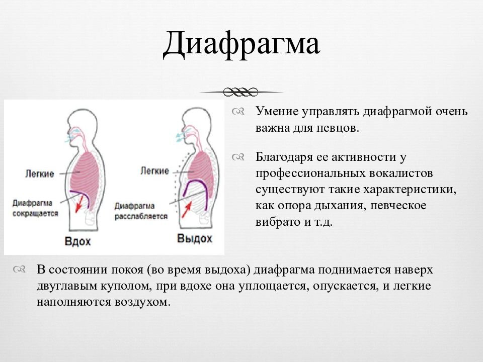 Принцип работы диафрагмы